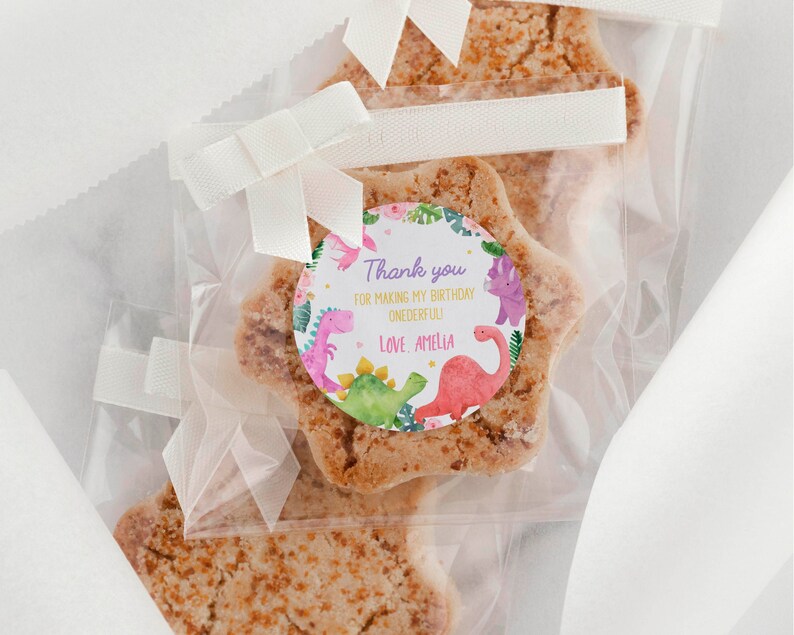 EDITABLE Dinosaur 1st Birthday Thank You Tag, Dino Party Favors Labels, Girl Dinosaur Birthday Party Favor Tags, Printable Template D006