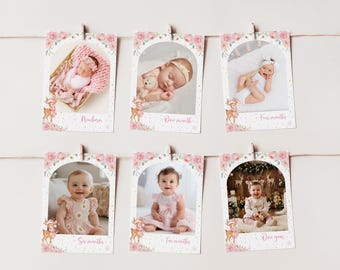Editable Winter Onederland Photo Banner | First Year Photo Garland | Deer 1st Birthday Banner | Monthly Baby Photos | D022