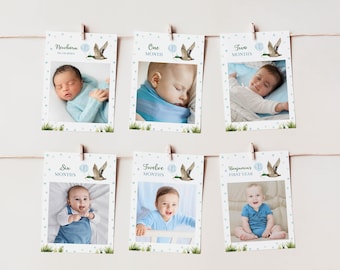 Editable First Year Photo Banner, 12 Month Photo Banner, One Lucky Duck Birthday Decor, Boy 1st Birthday Party, Printable Template. L007