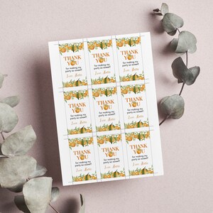 Pu&ograve; includere: Un foglio di nove etichette rettangolari in carta con un motivo ad acquerello di arance e foglie verdi. Ogni etichetta riporta il testo THANK YOU for making my party so sweet! Love, Katie in caratteri arancioni e neri con una piccola illustrazione di arancia.