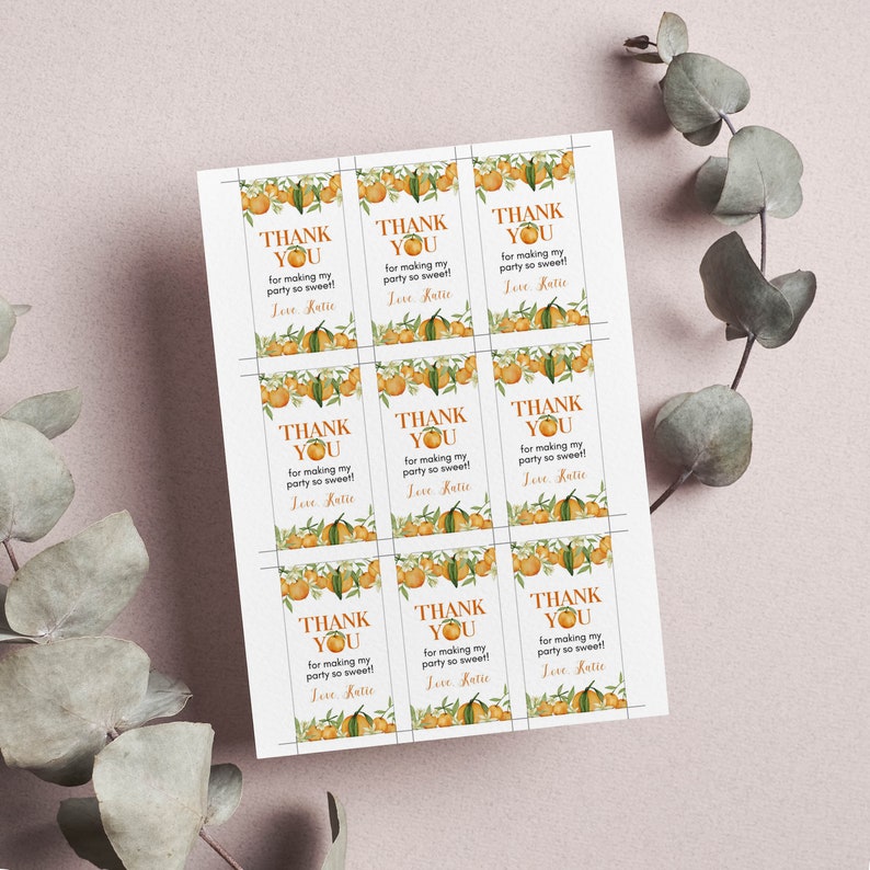 Pu&ograve; includere: Un foglio di nove etichette rettangolari in carta con un motivo ad acquerello di arance e foglie verdi. Ogni etichetta riporta il testo THANK YOU for making my party so sweet! Love, Katie in caratteri arancioni e neri con una piccola illustrazione di arancia.