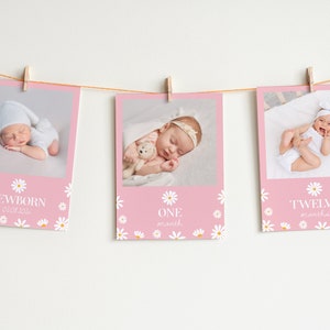 Editable First Year Photo Banner, 12 Months Photo Print, Daisy First Birthday Decor, Baby's First Year Photos, Customizable Template. #D003