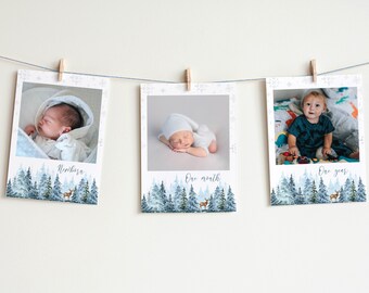 Editable Winter Onederland Birthday Photo Banner, Winter Woodland 12 Month Photo Banner, Winter 1st Birthday Decor, Instant Download. W006