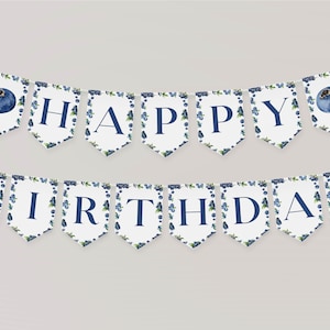 Bewerkbare banner voor eerste verjaardag bosbes, banner voor Berry Sweet Happy Birthday, decor voor verjaardagsfeestje bosbessen, direct downloaden. B013