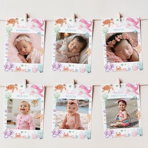 Editable Under The Sea Photo Banner, Oneder The Sea First Birthday Banner, Ocean 1st Birthday Banner, Printable Template. O014