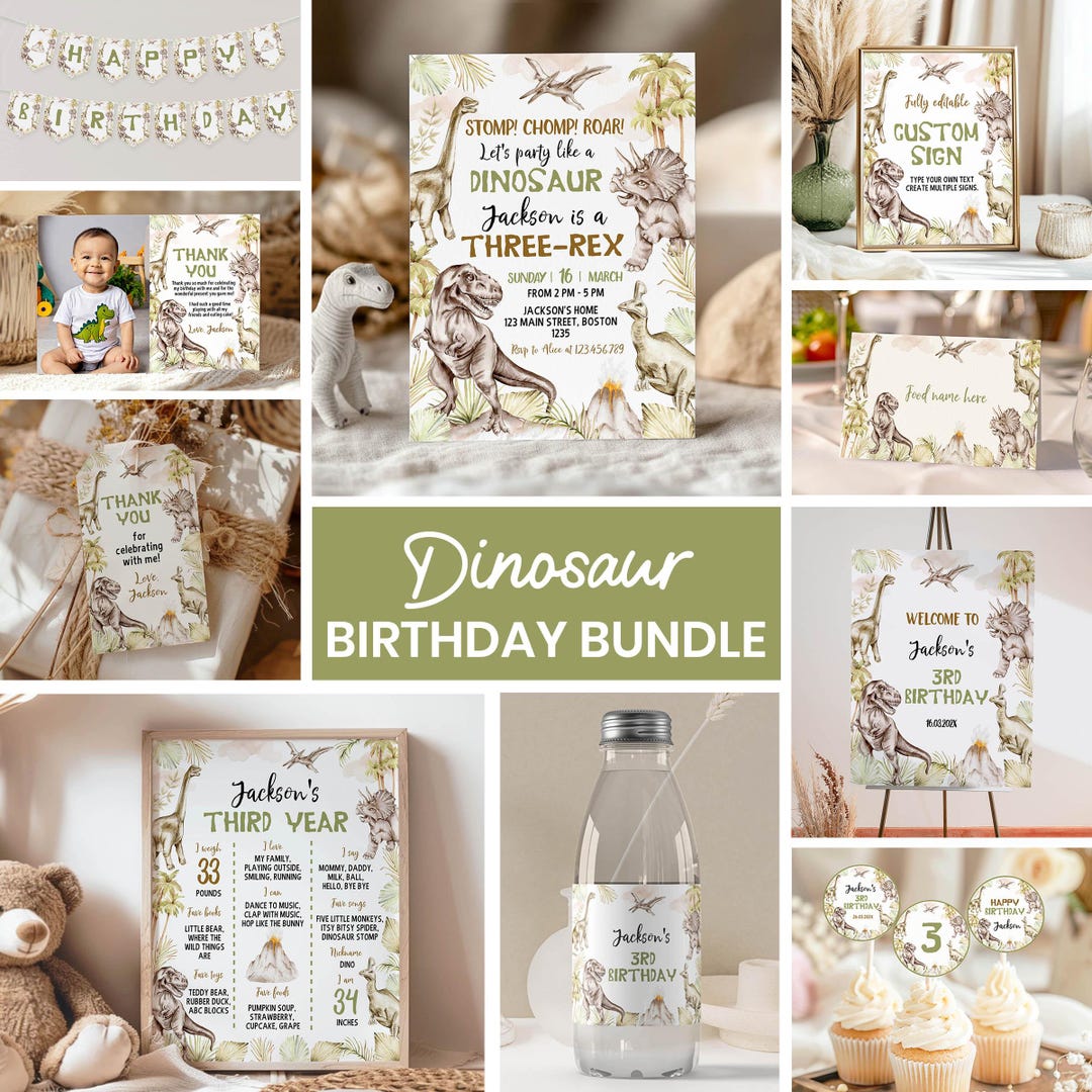 Three Rex Birthday Party Bundle | Dino 3rd Birthday Decorations ...