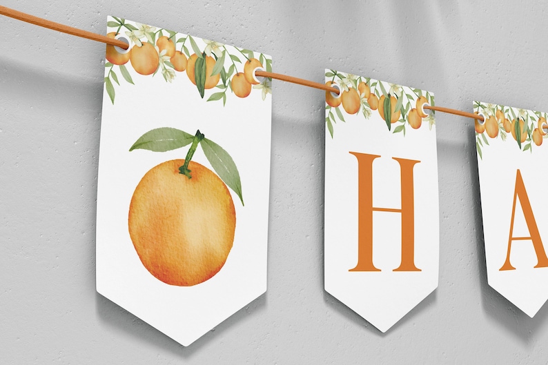 May include: A decorative banner featuring white pennants strung on an orange cord. Each pennant displays a watercolor illustration of orange fruit and green leaves at the top. Some pennants feature large orange capital letters including H and A.