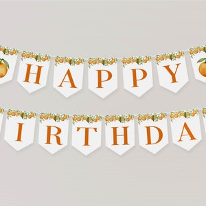 May include: A two-row bunting banner featuring white pennant flags with orange lettering spelling out HAPPY BIRTHDAY. Each flag is decorated with a watercolor illustration of orange fruit and green leaves along the top edge.