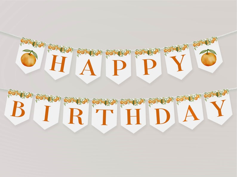 May include: A two-row bunting banner featuring white pennant flags with orange lettering spelling out HAPPY BIRTHDAY. Each flag is decorated with a watercolor illustration of orange fruit and green leaves along the top edge.