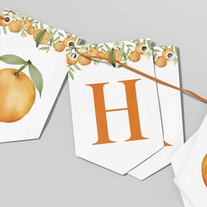 May include: A decorative banner featuring white pennants strung on a thin orange cord. Each pennant displays a watercolor illustration of orange fruit with green leaves and white blossoms at the top. One central pennant features the orange letter H.