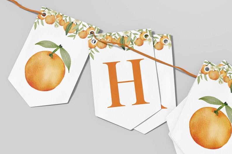 May include: A decorative banner featuring white pennants strung on a thin orange cord. Each pennant displays a watercolor illustration of orange fruit with green leaves and white blossoms at the top. One central pennant features the orange letter H.