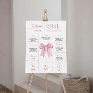 May include: A pink and white milestone sign on an easel. The sign reads "Juliana's ONE WHOLE YEAR" with details about the child's favorite things, measurements, and milestones. The sign includes a pink bow graphic.
