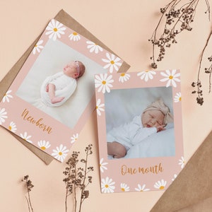 Puede incluir: Dos tarjetas rosas con bordes de margaritas blancas y fotos de un beb&eacute;. La tarjeta superior dice "Reci&eacute;n nacido" y la tarjeta inferior dice "Un mes".