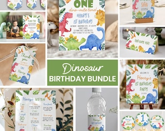 Editable Dinosaur First Birthday Invitation Bundle, Dinosaur 1st Birthday Kit, Dinosaur Party Decorations Package, Printable Template D006