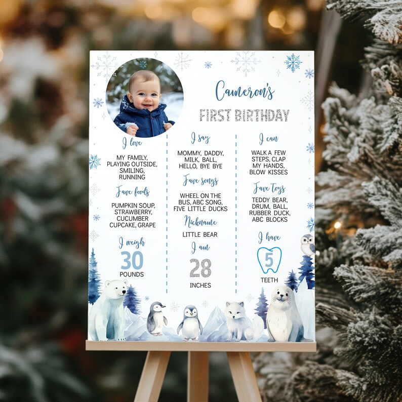 Pu&ograve; includere: Un cartello bianco per il primo compleanno con una foto circolare di un bambino, fiocchi di neve blu e illustrazioni di animali invernali tra cui un orso polare, pinguini e una foca. I dettagli includono 30 libbre di peso e 28 pollici.