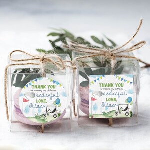 May include: Two clear square plastic favor boxes tied with jute twine, each containing a purple macaron and a green sprig. Attached are circular and square labels featuring a golf cart, balloons, and the text "THANK YOU for making my birthday one-derful LOVE, Oliver."