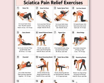 Sciatica Pain Relief Exercises, Lower Back Stretch Routine, Sciatic Nerve Glide Mobility Chart, Physical Therapy, Hip & Piriformis Stretches