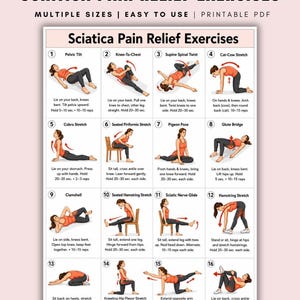 Sciatica Pain Relief Exercises, Lower Back Stretch Routine, Sciatic Nerve Glide Mobility Chart, Physical Therapy, Hip & Piriformis Stretches
