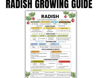 Radish Growing Guide, Beginner Gardening Cheat Sheet (PDF Printable A4)