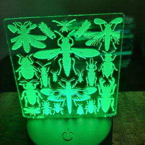 May include: A green acrylic night light with a design of various insects, including butterflies, beetles, and moths. The light is illuminated from behind, creating a glowing effect.