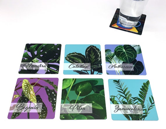 Plant Drink Coasters - House Plants Set of 6