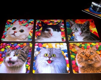 Candy Cats Drink Coasters - Set of 6
