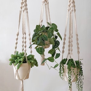 Könnte beinhalten: Drei Makramee-Pflanzenhänger mit weißen Schnüren und Quasten, die jeweils eine andere grüne Pflanze in einem weißen Topf halten.