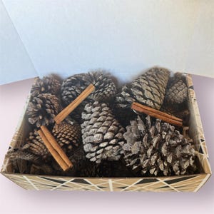 Cinnamon Pinecone Aromatherapy Gift Box: Holiday Home Fragrance