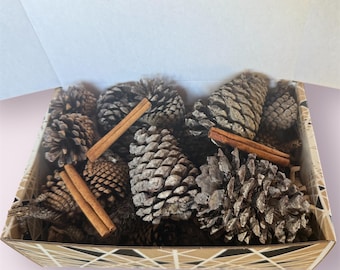 Cinnamon Pinecone Aromatherapy Gift Box: Holiday Home Fragrance