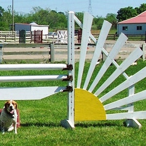 Fancy Hunter and Equitation Jump Standards