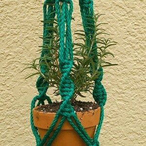 May include: A teal macrame plant hanger with a wooden ring at the top and a tassel at the bottom. A terracotta pot with a green plant is hanging in the macrame.