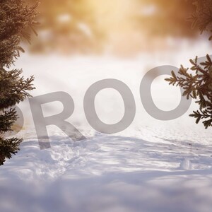 Winter Digital Backdrop