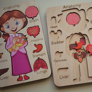 Wooden HUMAN ANATOMY puzzle Girl anatomy puzzle, Human body puzzle, Montessori toys, Boy Anatomy board puzzle, Kid's Learning, School-aged