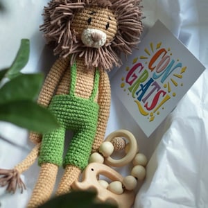May include: A handmade crochet lion toy with a brown mane and green overalls. A wooden teether and a card that says "CONGRATS" are also in the box. The lion is a soft toy for babies.