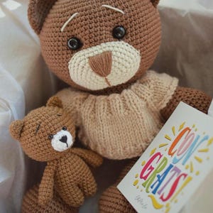 Stuffed Teddy Bear in sweater Crochet Toy Cute big and small brown Teddy bear mom and baby Crochet Wild Animals for kids long distance gift
