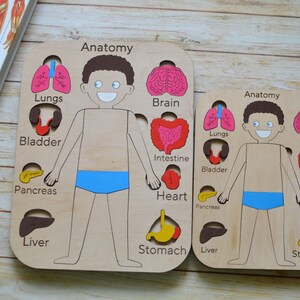 MENSCHLICHE ANATOMIE PÄDAGOGISCHES Puzzle Lernspielzeug Vorschule Homeschooling Kleinkindspielzeug Babygeschenke Geschenk für Kinder Anatomie Kinder lernen,