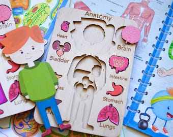 Wooden HUMAN ANATOMY puzzle Girl anatomy puzzle, Human body puzzle, Montessori toys, Boy Anatomy board puzzle, Kid's Learning, School-aged