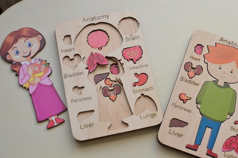 Wooden HUMAN ANATOMY Puzzle Girl Anatomy Puzzle, Human Body Puzzle ...