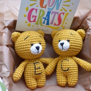 Personalisiertes Zwillings-Teddyspielzeug, Zwillings-Baby-Geschenkset, Zwillings-Mama-Geschenke, Zwillings-Schwangerschaftsanzeige, Zwillings-Babyparty, Zwillingsmädchen