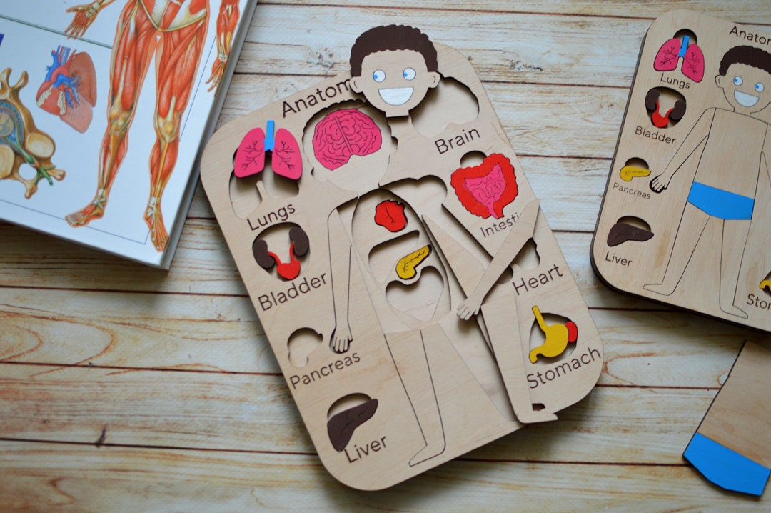 Anatomy Puzzle, Human Body Puzzle, Montessori Toys, Anatomy Board, Kid