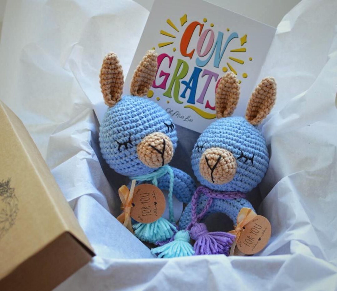 Twin Llama Rattle, Twins Baby Gift Set, Twin Mom Gifts, Twins Pregnancy ...