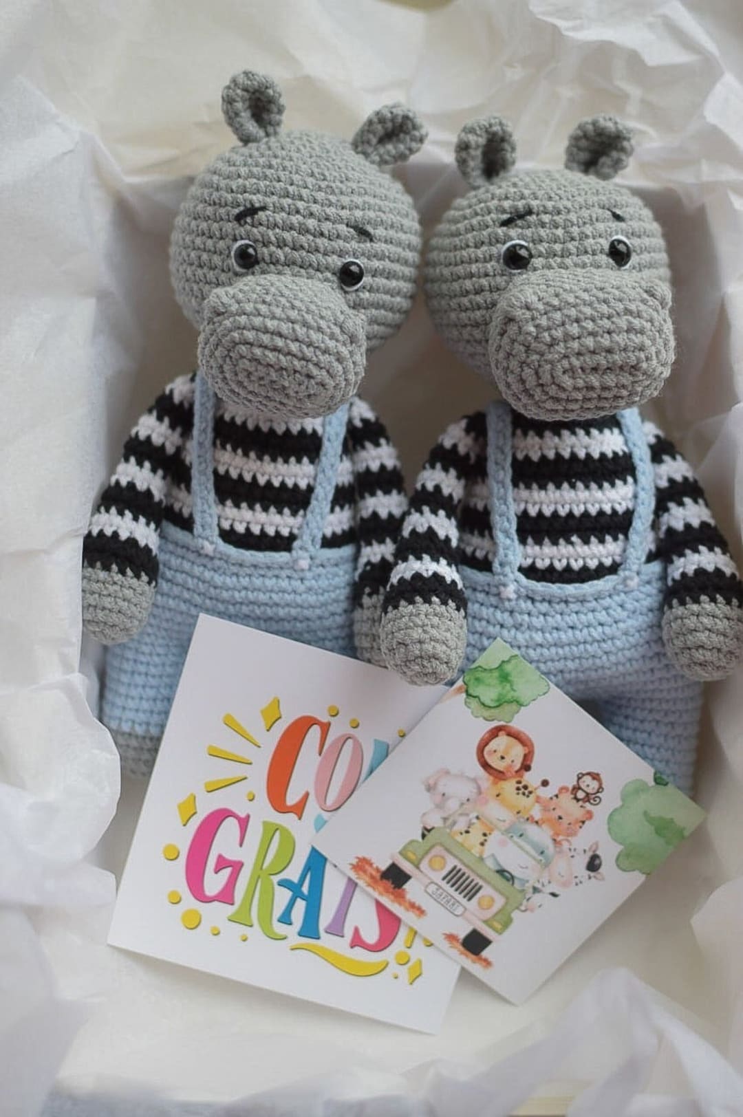 Coffret cadeau pour bébés garçons jumeaux, jouets hippopotames jumeaux, cadeaux