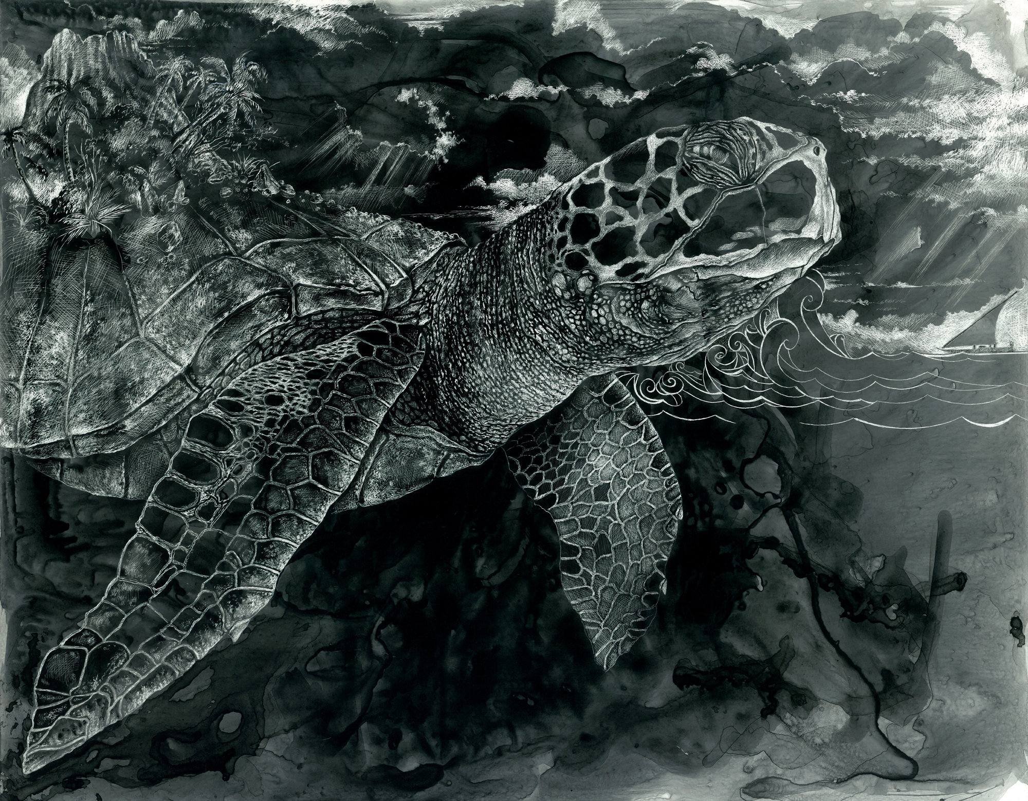 Scratchboard Turtle