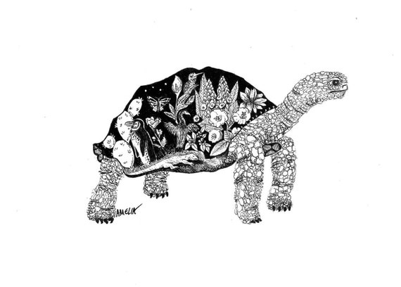 Galapagos Tortoise Habitat Ink Drawi | Etsy