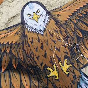 Weißkopfseeadler Einleinerdrache für Kids | Kinderdrache mit einzigartigen Design | Vogel Adler Drache | Outdoorspielzeug