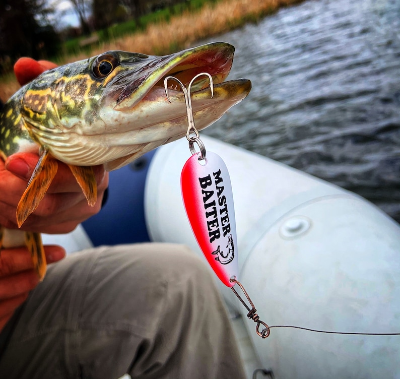 May include: A close-up of a pike fish being held by a person. The fish is being held by the mouth and is facing the camera. A red and white fishing lure with the text "Master Baiter" is attached to the fish's mouth.