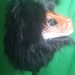 Dino Mask Fur Hood