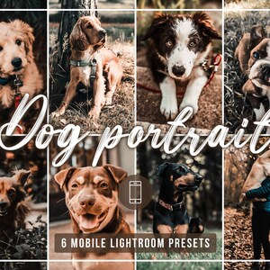 Peut inclure: Un collage de six photos mettant en scène des chiens de différentes races dans diverses poses. Les photos sont disposées en grille et ont une esthétique rustique et automnale. Le texte "Dog portrait" et "6 Mobile Lightroom Presets" est affiché en bas du collage.
