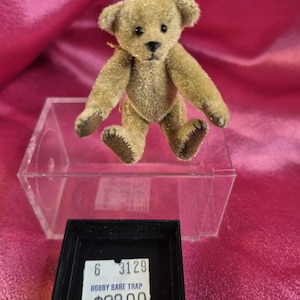 May include: A small, vintage teddy bear with a light brown, fuzzy texture. The bear has black eyes and a black nose. It is sitting on a clear plastic display case. A black display case with a price tag is in front of the bear.