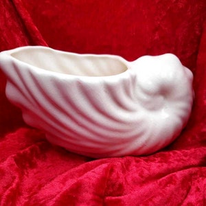 May include: A white ceramic planter shaped like a seashell. The planter has a smooth, textured surface and a wide opening at the top.